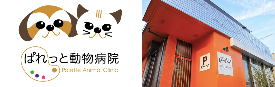 仙台市若林区の動物病院／犬猫の診療／手術・入院／しつけ教室／行動カウンセリング／ホテル／シャンプー対応